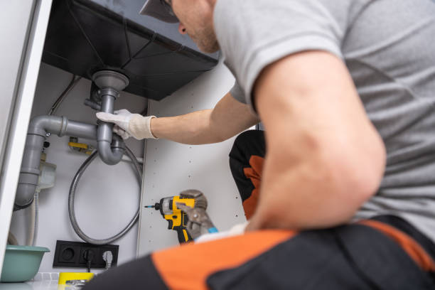 Best Plumbing Inspection Services  in Lo, HI